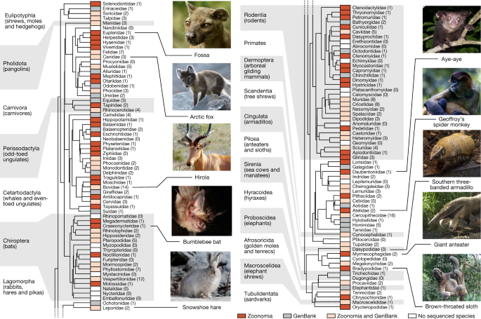 A comparative genomics multitool for scientific discovery and conservation  | Nature