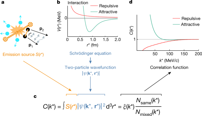 Unveiling The Strong Interaction Among Hadrons At The Lhc Nature