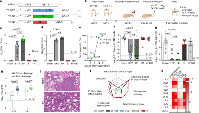 A Single Dose Live Attenuated Yf17d Vectored Sars Cov 2 Vaccine Candidate Nature