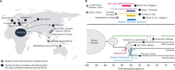 Origins Of Modern Human Ancestry Nature