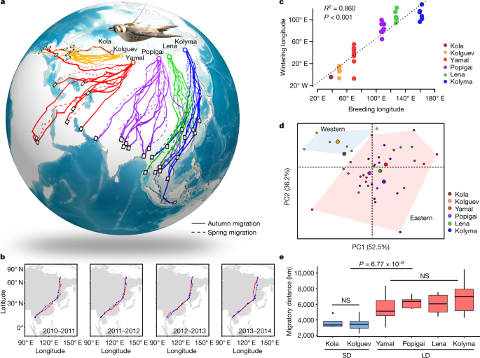 Climate Driven Flyway Changes And Memory Based Long Distance Migration Nature Climate Driven Flyway Changes And Memory Based Long Distance Migration Nature