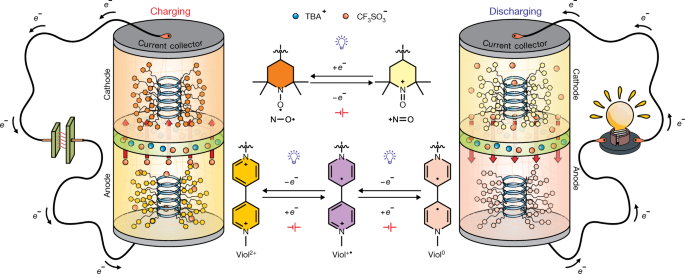 Polypeptide organic radical batteries - Nature