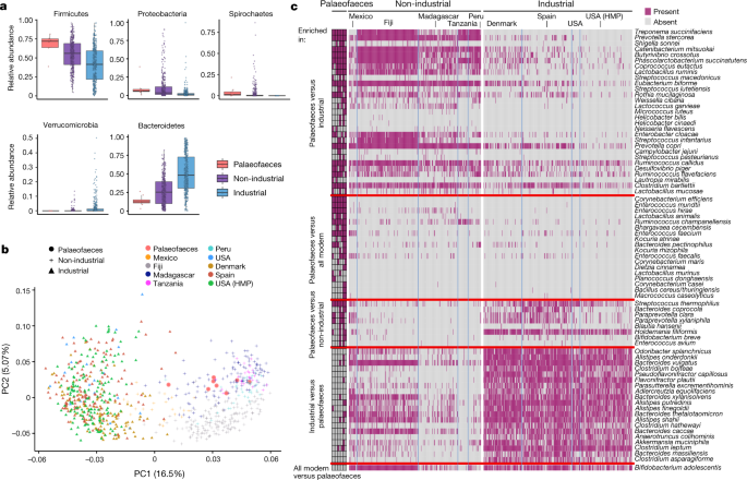  Reconstruction of ancient microbial genomes from the human gut 