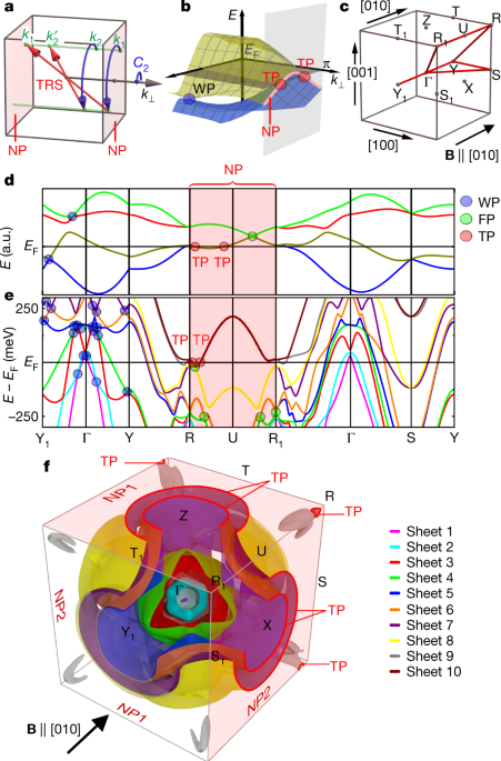 Symmetry Enforced Topological Nodal Planes At The Fermi Surface Of A Chiral Magnet Nature