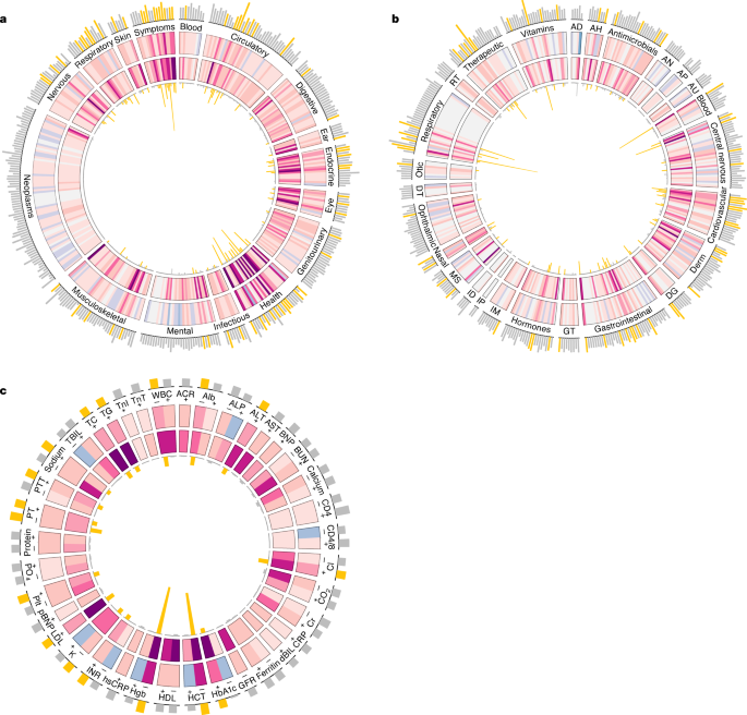 High Dimensional Characterization Of Post Acute Sequelae Of Covid 19 Nature