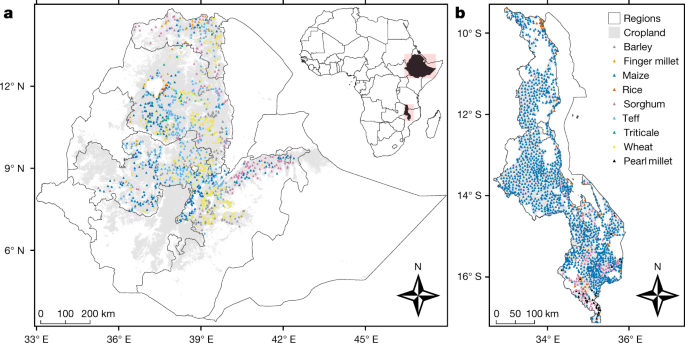 The Nutritional Quality Of Cereals Varies Geospatially In Ethiopia And Malawi Nature