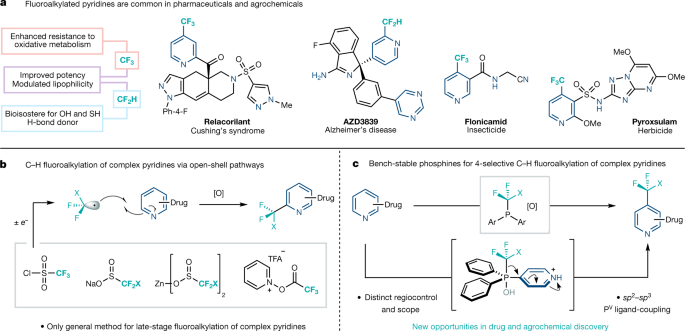 A Carbon-Phosphorus Bond in Nature