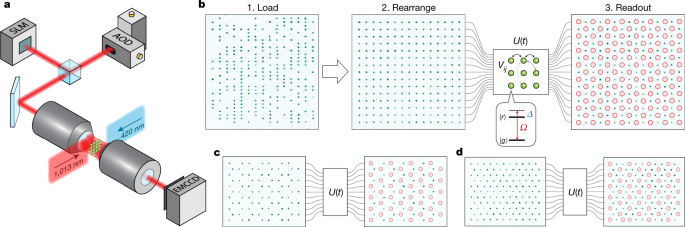                               Nature                          volume  595, pages  227–232 (2021 )Cite this article                      Motivated 