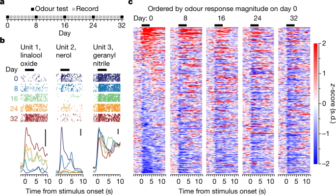 Representational Drift In Primary Olfactory Cortex Nature