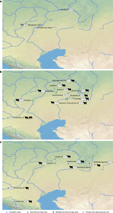Dairying enabled Early Bronze Age Yamnaya steppe expansions  Nature