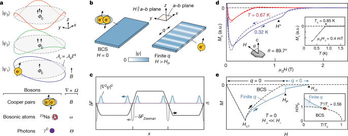 Signatures Of Bosonic Landau Levels In A Finite Momentum Superconductor Nature