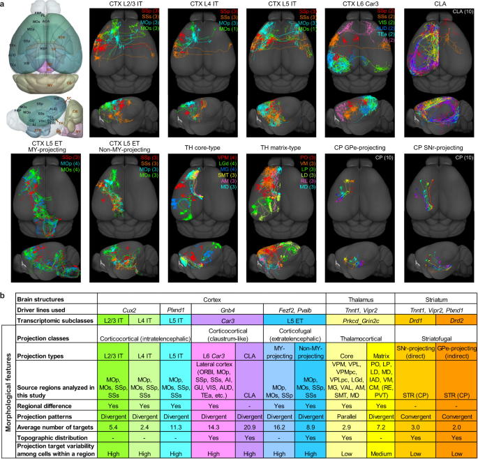 1: Average accuracy of the defined AI Virtual Mouse.