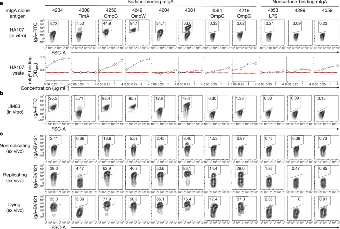 Widespread vertical transmission of secretory immunoglobulin A