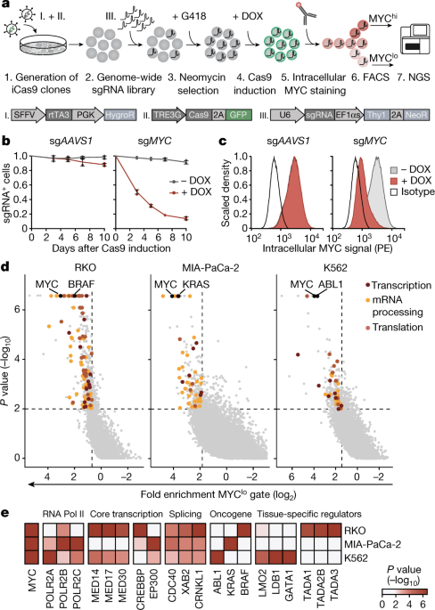 https://media.springernature.com/m685/springer-static/image/art%3A10.1038%2Fs41586-021-04035-8/MediaObjects/41586_2021_4035_Fig1_HTML.png