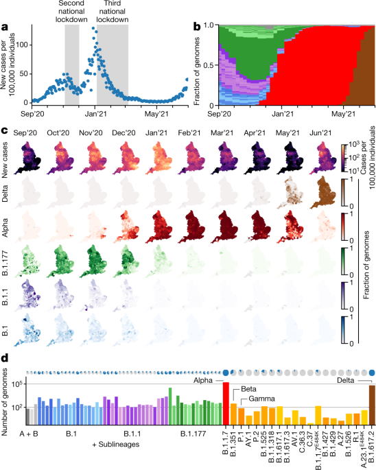 Genomic reconstruction of the SARS-CoV-2 epidemic in England | Nature