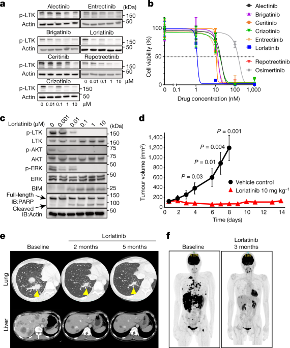 The CLIP1–LTK fusion is an oncogenic driver in non‐small‐cell lung cancer