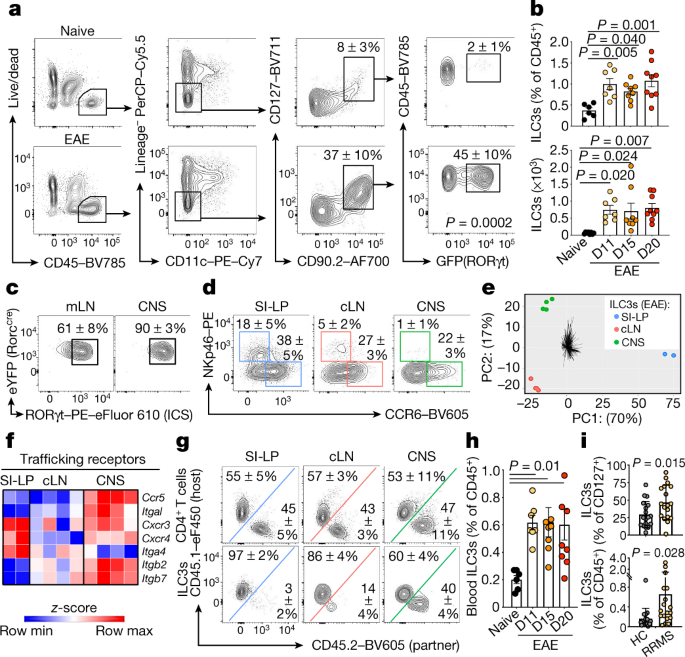 Antigen-presenting innate lymphoid cells orchestrate neuroinflammation |  Nature