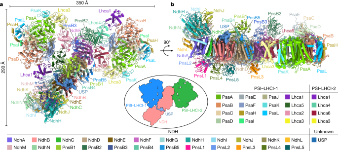 The diagram shows the general structure of a lipid, which consists of two main parts.