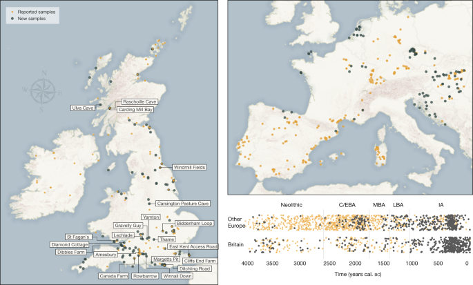 Large-scale migration into Britain during the Middle to Late Bronze Age |  Nature