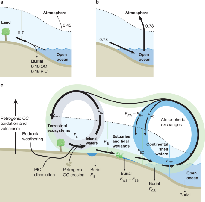 The carbon the loops Nature cycle land-to-ocean of | global