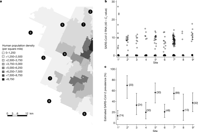 Sars Cov 2 Infection In Free Ranging White Tailed Deer Nature