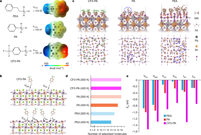 All Perovskite Tandem Solar Cells With Improved Grain Surface Passivation Nature All Perovskite Tandem Solar Cells With Improved Grain Surface Passivation Nature
