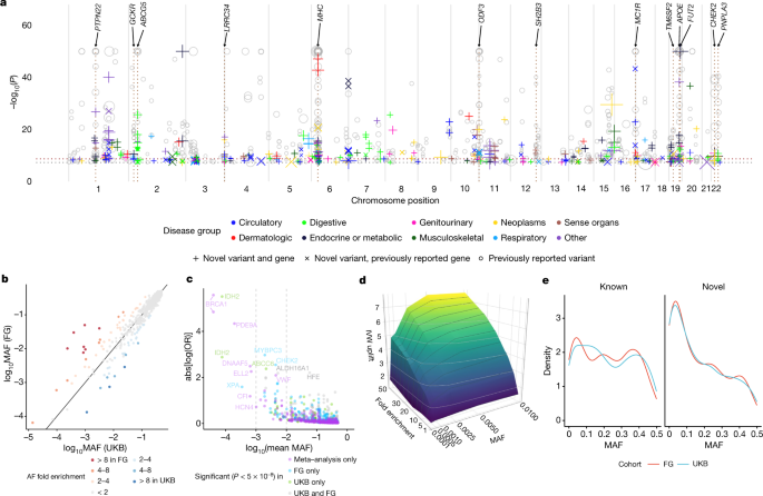 New insights into genetic variant spectrum and genotype–phenotype