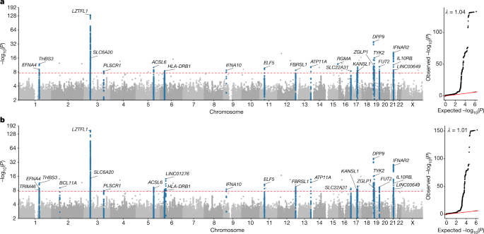 685px x 331px - Whole-genome sequencing reveals host factors underlying critical COVID-19 |  Nature