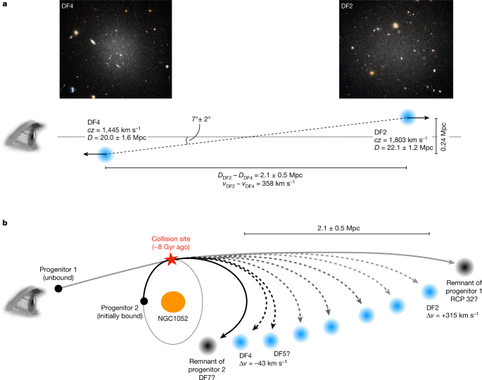 A trail of dark-matter-free galaxies from a bullet-dwarf collision