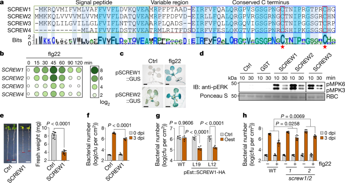 https://media.springernature.com/m685/springer-static/image/art%3A10.1038%2Fs41586-022-04684-3/MediaObjects/41586_2022_4684_Fig1_HTML.png