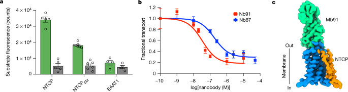 Structural basis of sodium-dependent bile salt uptake into the liver - Nature.com