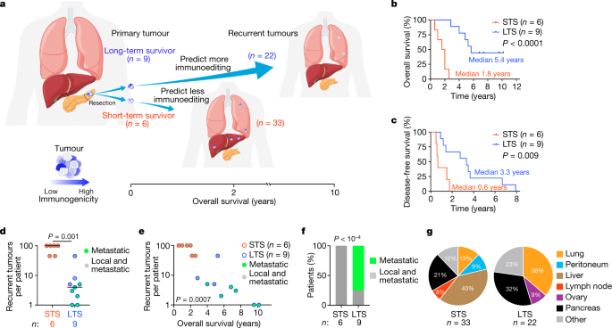 Neoantigen quality predicts immunoediting in survivors of pancreatic cancer