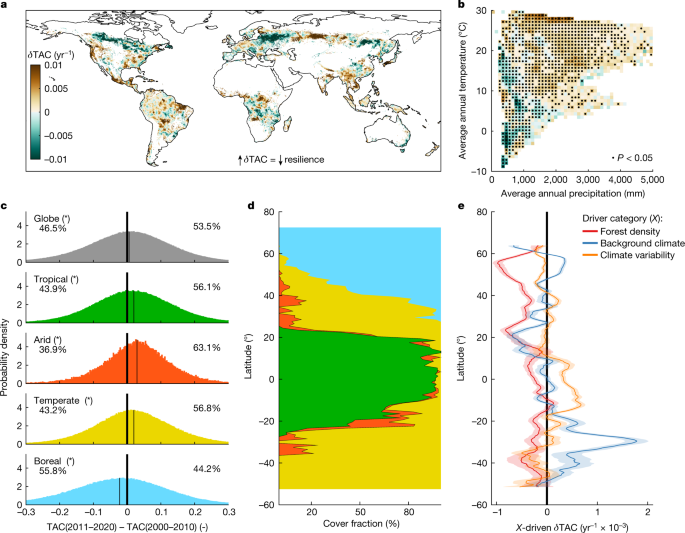 The effects of climate and forest cover variability on the