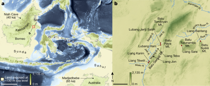 Surgical amputation of a limb 31,000 years ago in Borneo