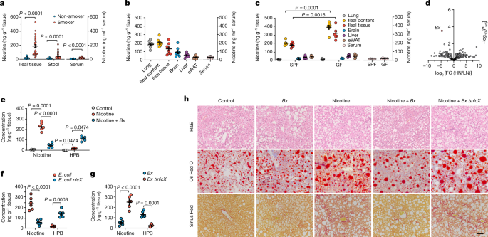 Gut bacteria alleviate smoking-related NASH by degrading gut nicotine