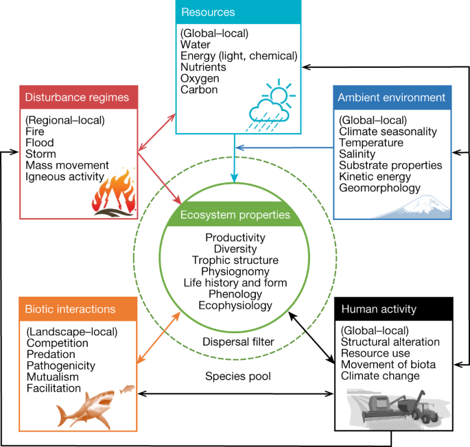 Thematic brief: Ecosystems & ecosystem services