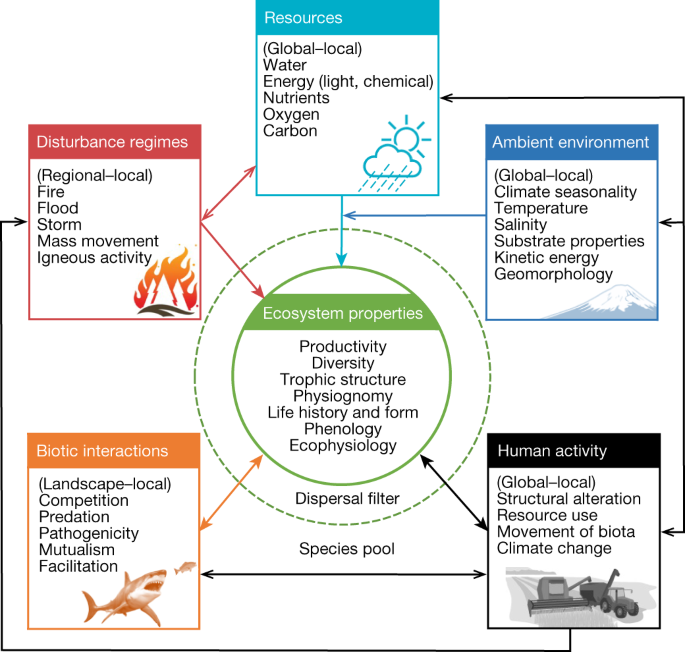 Case Studies: Ecosystems and Their Abiotic Elements