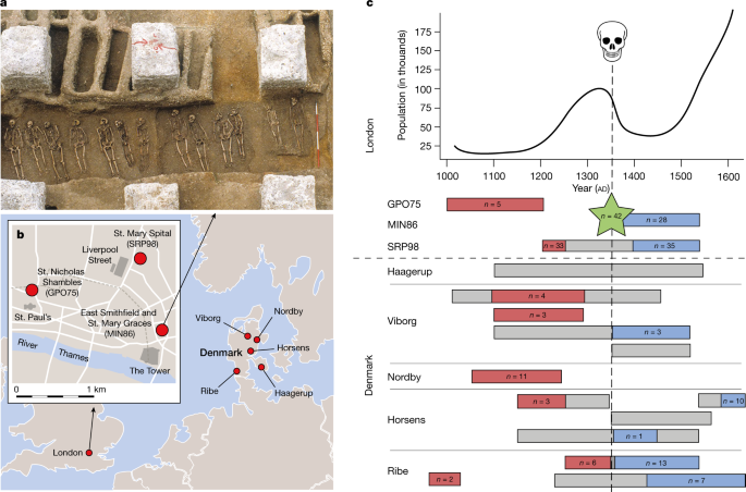 Evolution of immune genes is associated with the Black Death