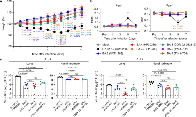 Characterization of SARS-CoV-2 Omicron BA.4 and BA.5 isolates in rodents |  Nature