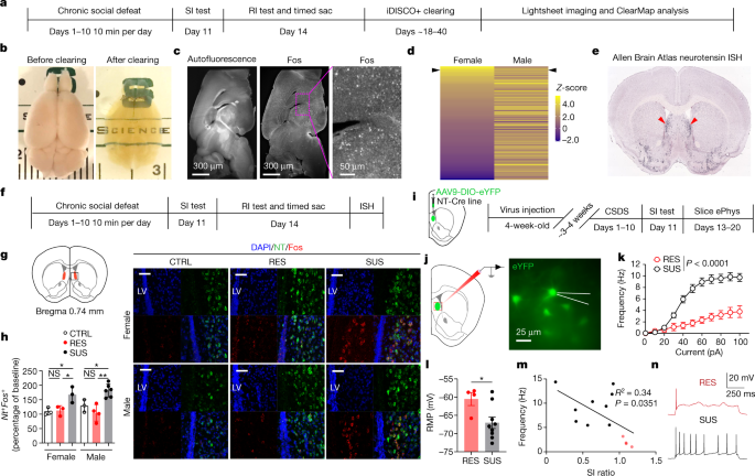 File:Keystone Symposia 2022 Neurocircuitry of Social Behavior.jpg