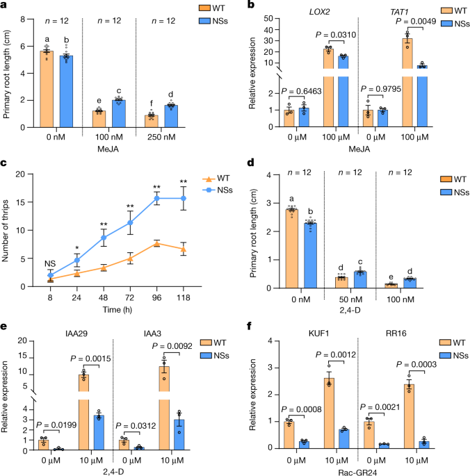 maxone glutathione reviews Comprehensive Characterization of the Human Neural Stem Cell Line HNSC.100  as a Versatile Model for Neurobiological Research