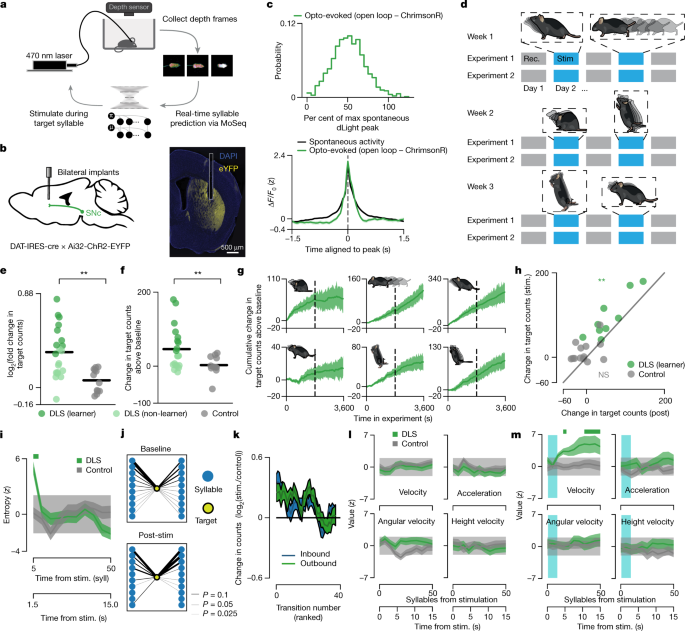 a 3D imaging of mouse pose dynamics. MoSeq uses depth cameras to image