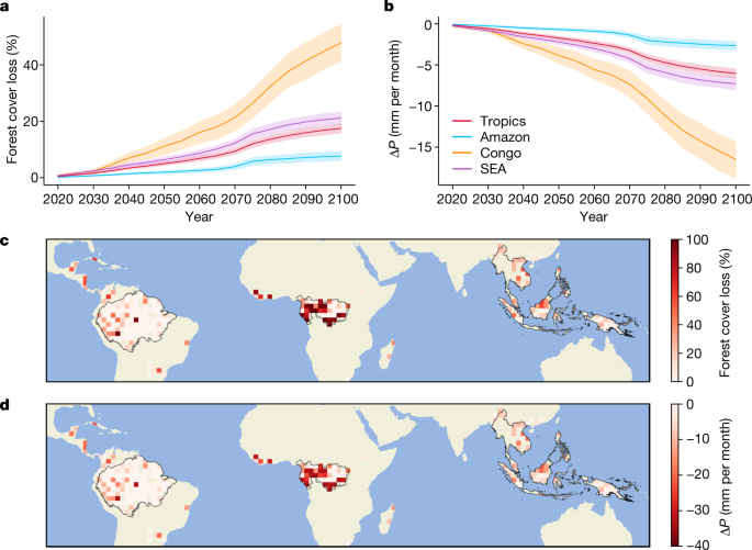 The effects of climate and forest cover variability on the