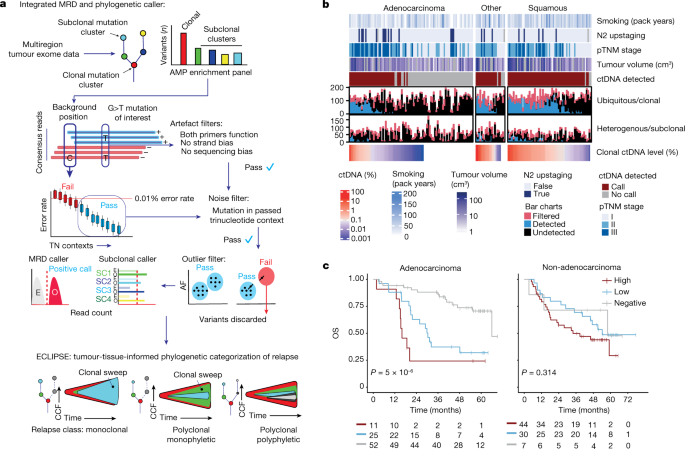Tracking early lung cancer metastatic dissemination in TRACERx using ctDNA  | Nature