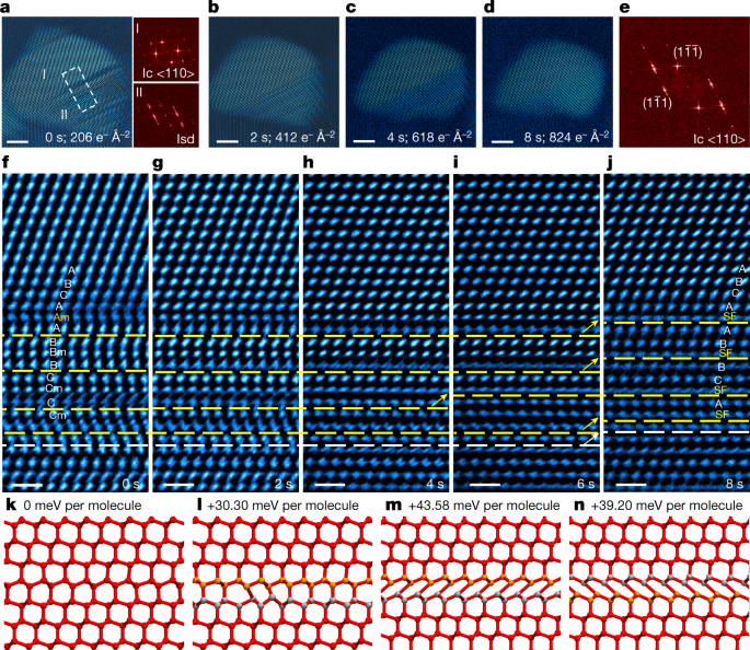 https://media.springernature.com/m685/springer-static/image/art%3A10.1038%2Fs41586-023-05864-5/MediaObjects/41586_2023_5864_Fig4_HTML.png