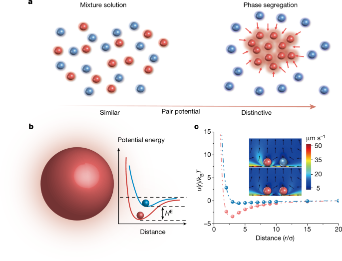 Photochromism from wavelength-selective colloidal phase segregation