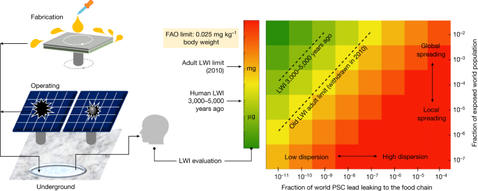 Lead immobilization for environmentally sustainable perovskite solar cells