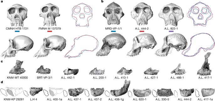feature-image