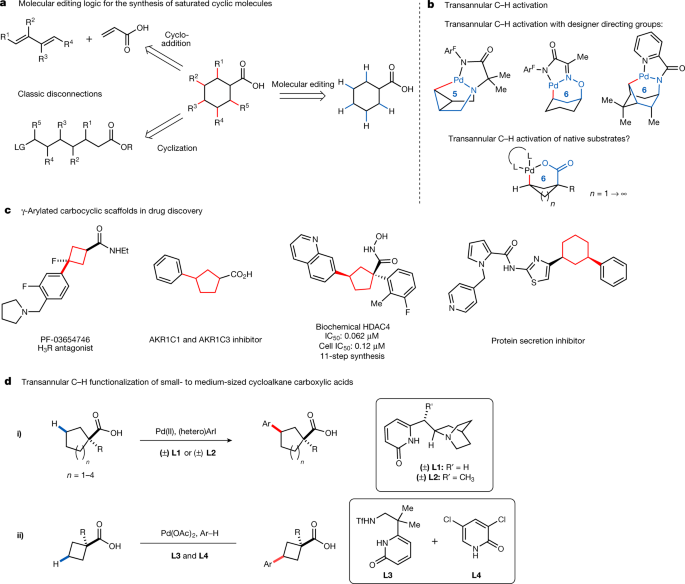 Transannular c–h functionalization of cycloalkane carboxylic acids