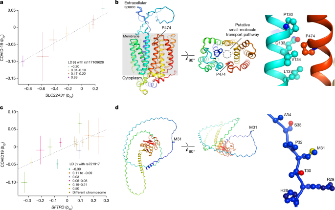 GWAS and meta-analysis identifies 49 genetic variants underlying critical  COVID-19 | Nature